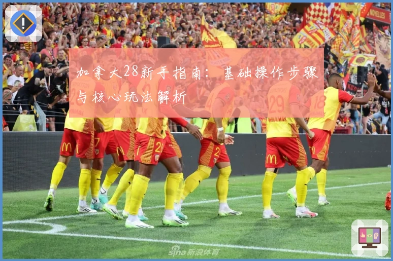 加拿大28新手指南：基础操作步骤与核心玩法解析