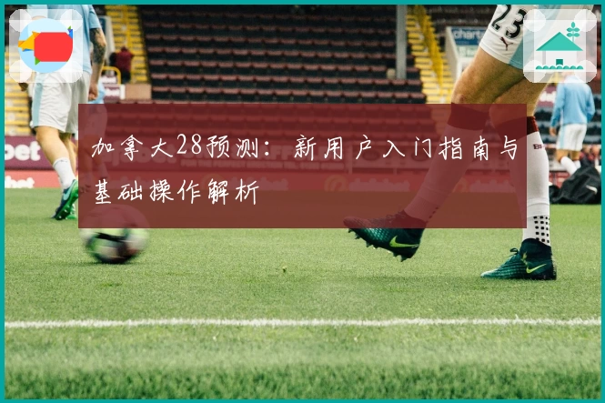 加拿大28预测：新用户入门指南与基础操作解析