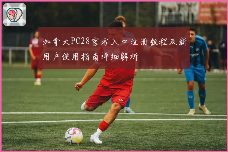 加拿大PC28官方入口注册教程及新用户使用指南详细解析