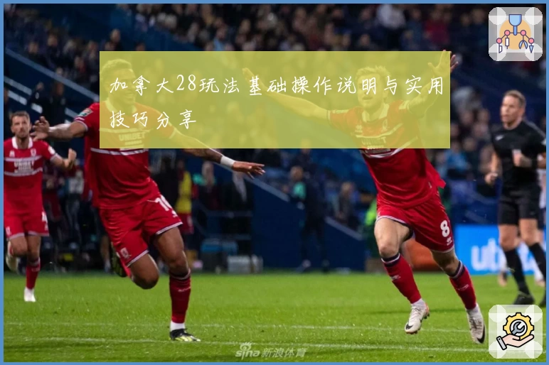 加拿大28玩法基础操作说明与实用技巧分享