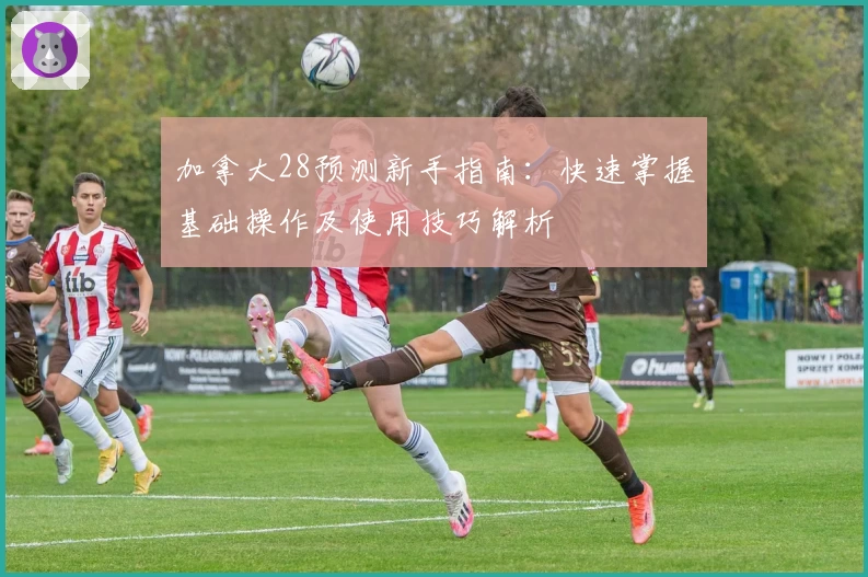 加拿大28预测新手指南：快速掌握基础操作及使用技巧解析