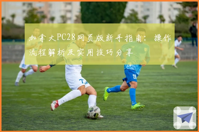 加拿大PC28网页版新手指南：操作流程解析及实用技巧分享