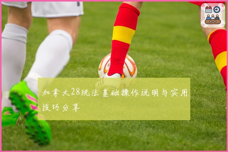 加拿大28玩法基础操作说明与实用技巧分享