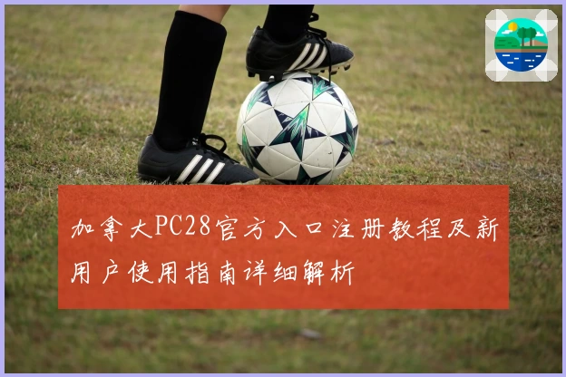 加拿大PC28官方入口注册教程及新用户使用指南详细解析