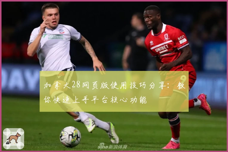 加拿大28网页版使用技巧分享：教你快速上手平台核心功能