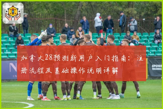 加拿大28预测新用户入门指南：注册流程及基础操作说明详解