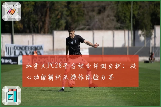 加拿大PC28平台综合评测分析：核心功能解析及操作体验分享